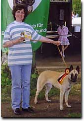 Ch. Fame vom Schwarzen Ulan