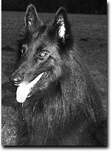 Ursus mit 3,5 Jahren