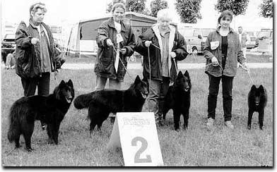 Ch. Imola, Easy, Ch. Eve und ihre Tochter Lady-Cheyenne  vom Schwarzen Ulan